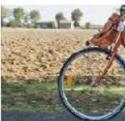 In bici