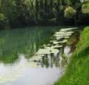SILE