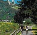 escursione in bici
