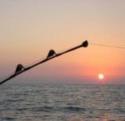 pesca