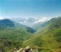 monte