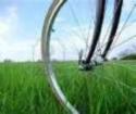bici