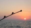 GARA PESCA
