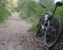 IN BICI