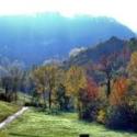 COLLI ASOLANI