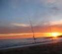 pesca