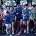LUTRANO 2014 33a 4 passi