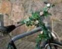 IN BICI