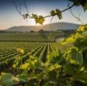 Franciacorta