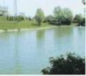 PESCA