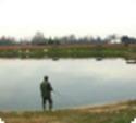 pesca