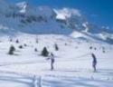 neve