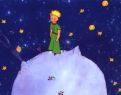 Il Piccolo Principe