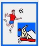 CALCIO SCI