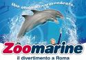 Manifesto del parco divertimenti Zoomarine.