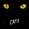 Post thumbnail of Confession of a Former Jellicle Cat