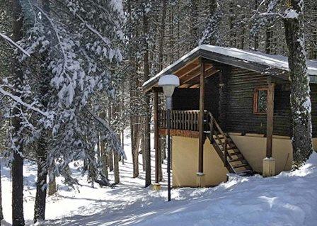 Centri Arca inverno