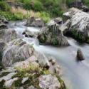 torrente